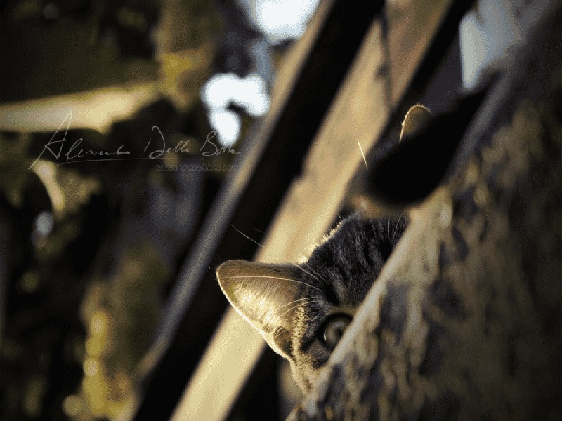 南昌试管做几代好,2024年南昌柳州能做试管吗（试管分离工具图片）