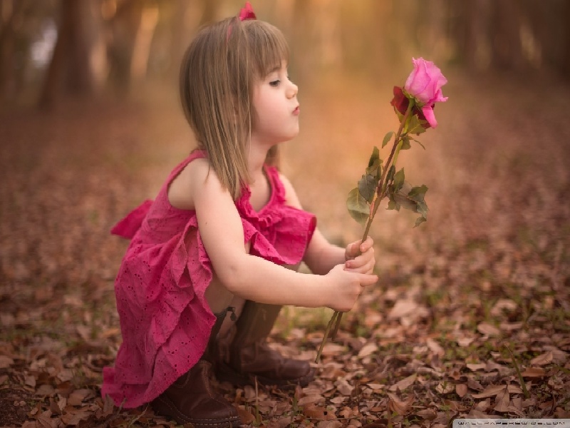 西安天赐试管之家（东北试管博主）——