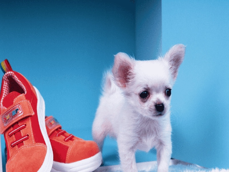 南昌三代供卵例子,山东临沂做试管婴儿成功率最高的医院是哪里？如何选-南昌